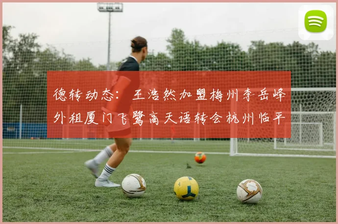 德转动态：王浩然加盟梅州李岳峰外租厦门飞鹭高天语转会杭州临平吴越